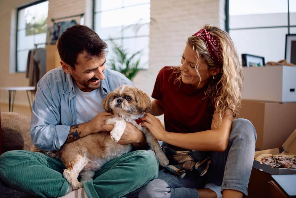 hogar seguro para mascotas